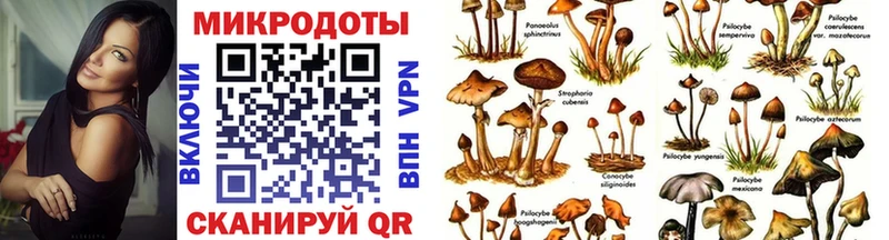 Купить закладки  Иноземцево  Галлюциногенные грибы Cubensis 